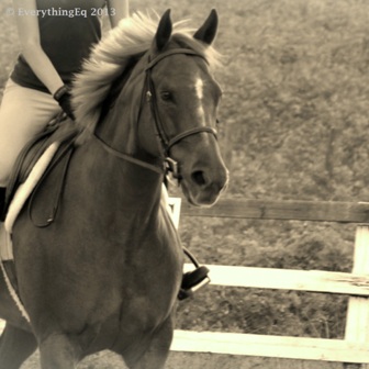 Bubbles EverythingEq