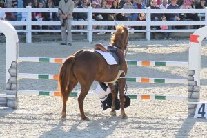Julia Davis Devon Horse Show Dismount