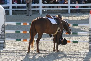 Julia Davis Devon Horse Show Dismount1