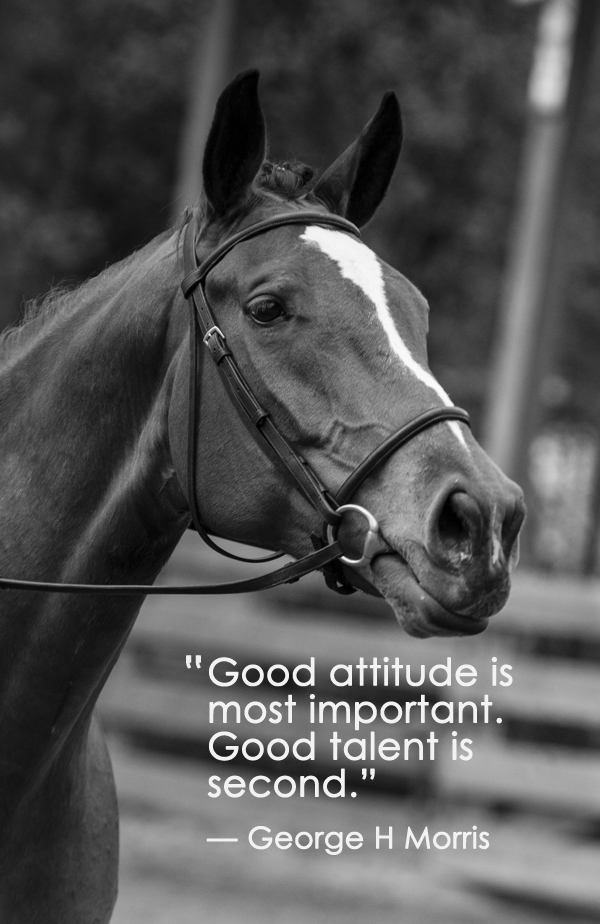 "Good attitude is most important..."