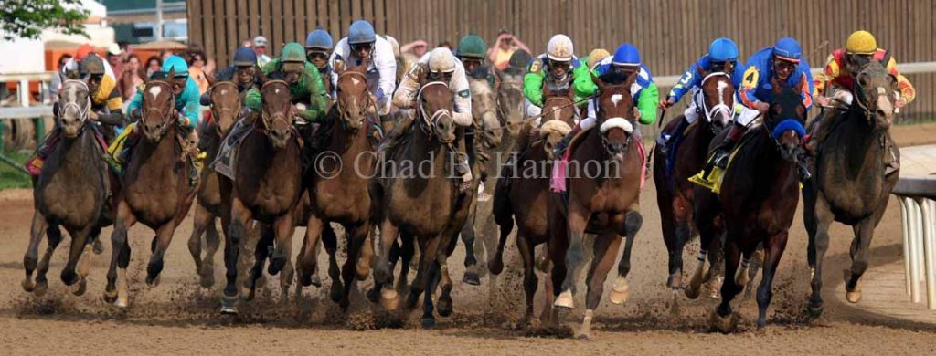 Barbaro Kentucky Derby 2006