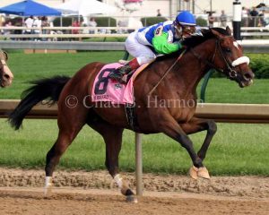 Barbaro Kentucky Derby
