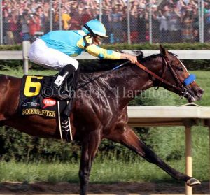 Bodemeister No Watermark