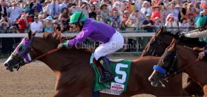 California Chrome 2 No Watermark
