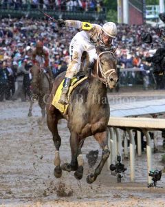Super Saver Kentucky Derby 2010
