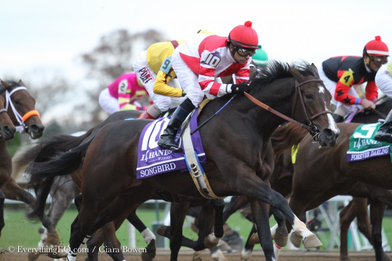 Songbird Breeders' Cup 2015