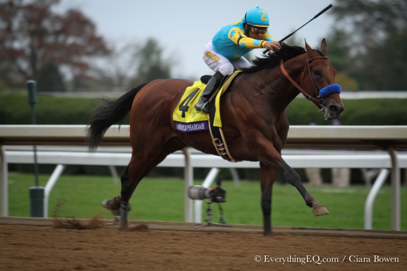 American Pharoah Breeders' Cup Win