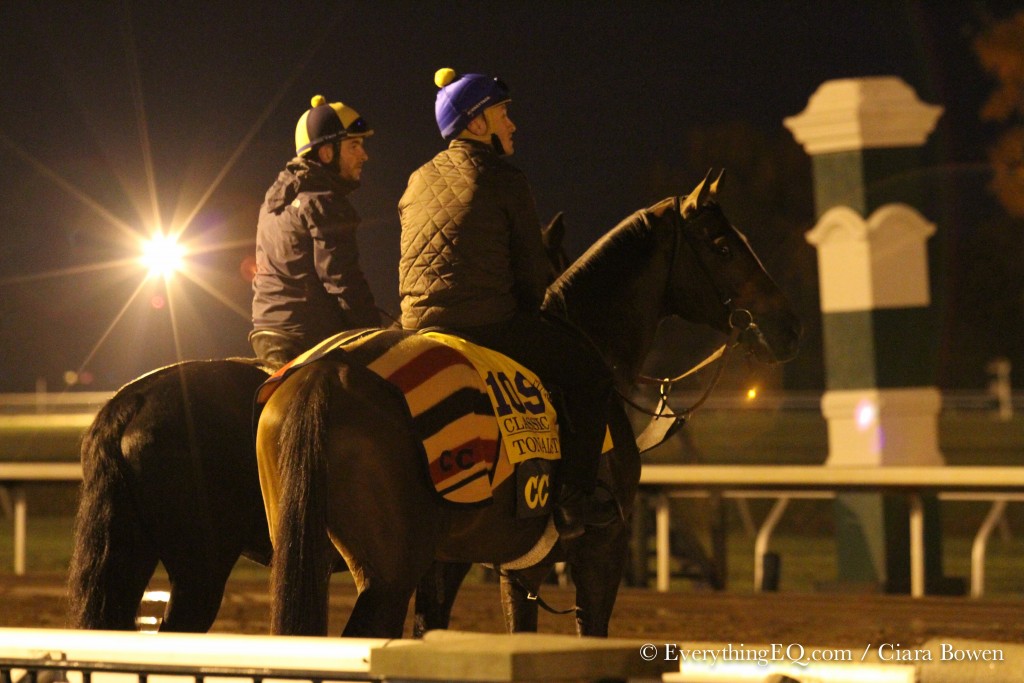 Tonalist Breeders' Cup Classic