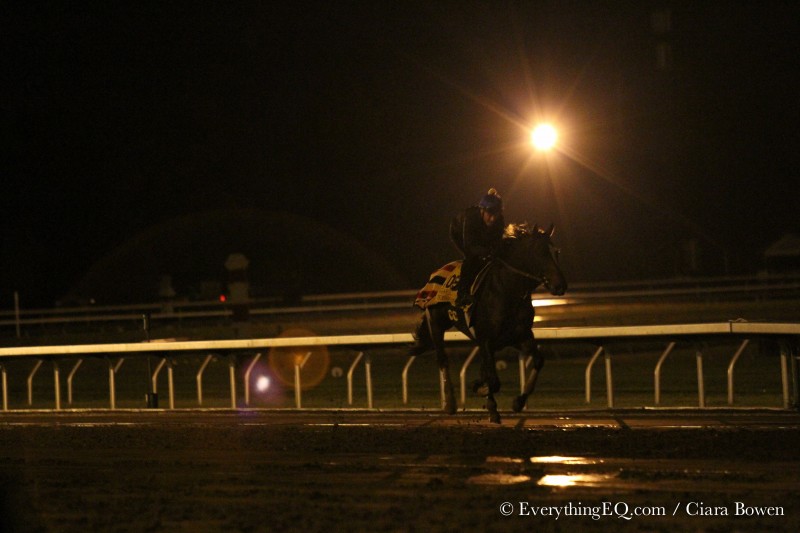 Tonalist Breeders' Cup