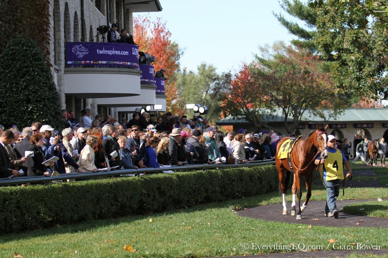 2015 Breeders' Cup Keeneland