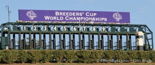 2015 Breeders' Cup Starting Gate