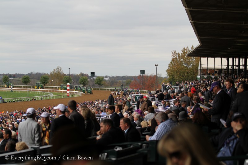 2015 Breeders Cup Keeneland