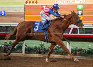 Dortmund wins Native Diver