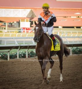 Chiropractor Wins Hollywood Derby