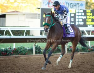 Stormy Lucy Wins Matriarch Stakes