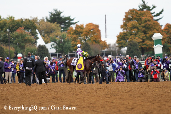 Nyquist Breeders Cup Win