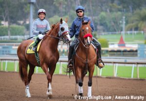 California Chrome 2016