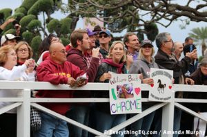 California Chrome Fans