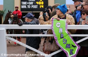 California Chrome Fan