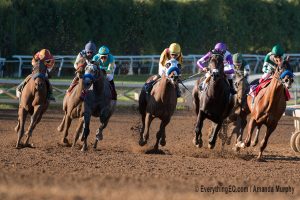 Hoppertunity wins San Antonio