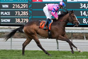 Pacific Heat Sunshine Millions Turf Sprint