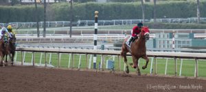 Smokey Image Cal Cup Derby