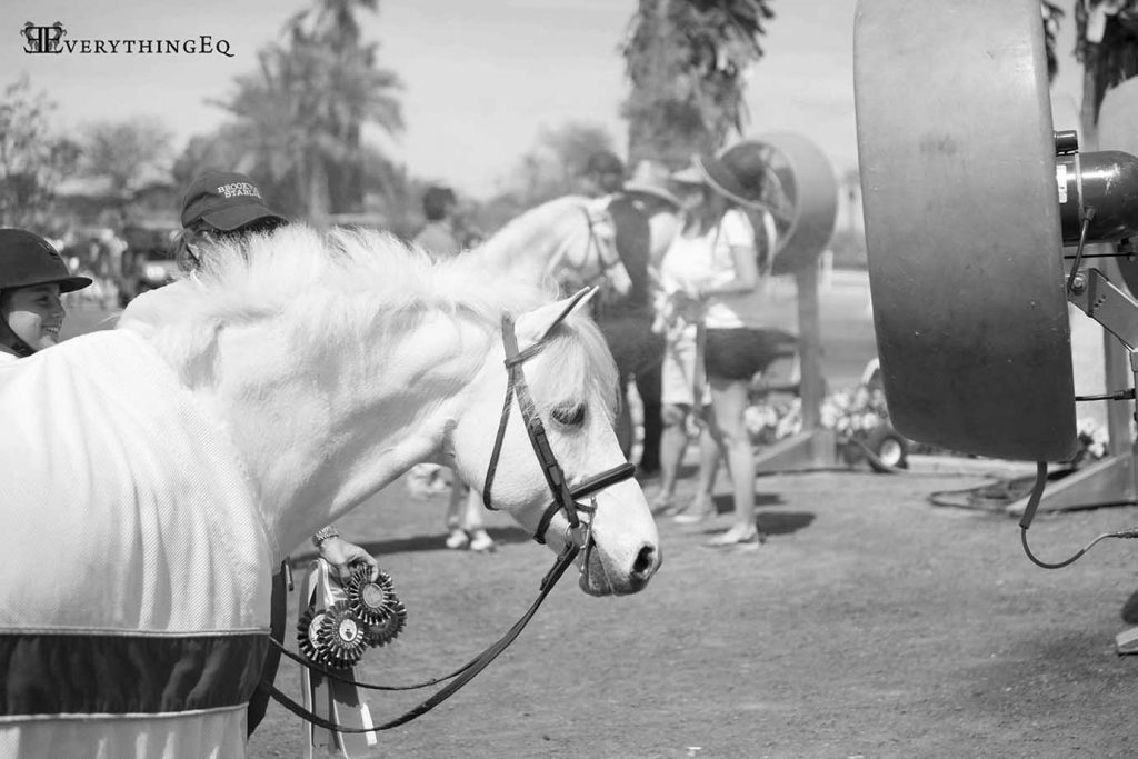 HITS Thermal AIG $1 Million Grand Prix 2016