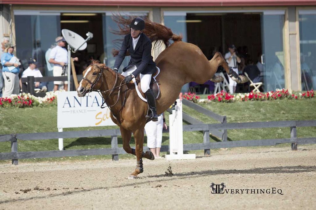 Rothchild's Winning Buck