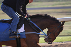 Terra Promessa wins Honeybee Stakes