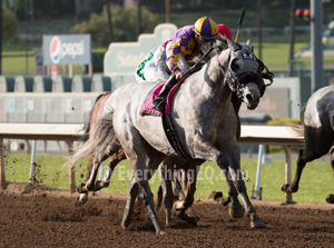 Kobe's Back wins San Carlos Stakes