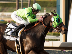 Melatonin wins Santa Anita Handicap