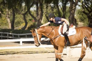 2016_SLS_NoStirrups-22EE