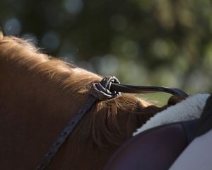 2016_SLS_NoStirrups-5EE