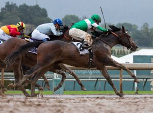 Exaggerator Blue Grass Stakes