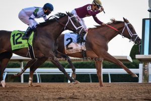 Sheer Drama Madison Stakes