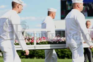 Kentucky Oaks Lilies