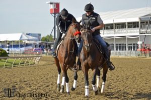 Nyquist Preakness 2016