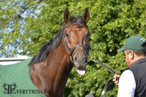 Nyquist Preakness Stakes
