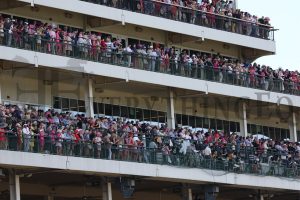Kentucky Oaks Crowd