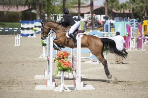 20160320_Aubrey_Kahlua-7EE