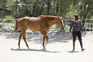 20160430_Heather_Pie-7EE