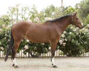 20160507_SLS_Confirmation-16EE