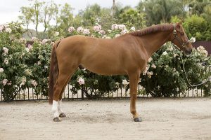 20160507_SLS_Confirmation-7EE