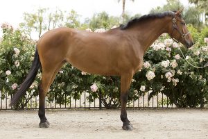 20160507_SLS_Confirmation-8EE