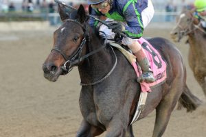 Mo Town wins Remsen Stakes