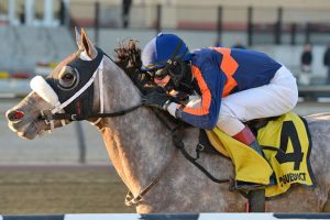 El Areeb Withers Stakes