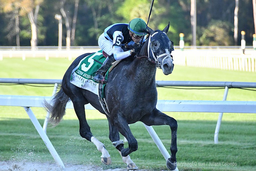 Tapwrit Belmont Stakes