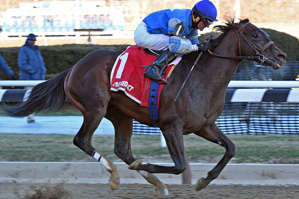 J Boys Echo Bobby Flay