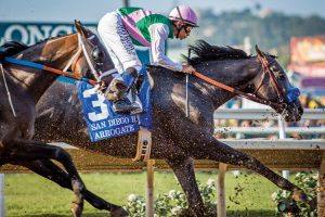Arrogate Breeders' Cup
