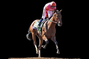 Caledonia Road horse